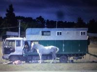 The horse truck that was stolen in Hastings