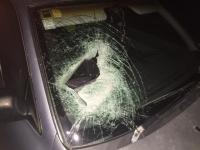 Windscreen 