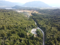 A drone image of the area being searched, comprising thick bush. 