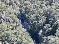Where the missing tramper was located