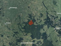 Search continues for missing woman in the Pureora Forest