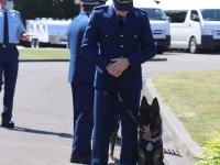 Patrol dog graduation