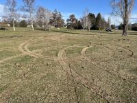 Damage caused by skids in Te Anau Domain