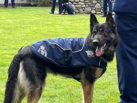 Police Dog Eko on parade