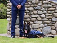 Police patrol dog graduation