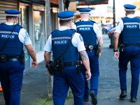 Cops walking the beat (male) day - 2