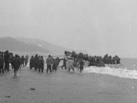 lifeboat