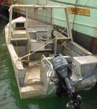 20ft aluminium Stablecraft