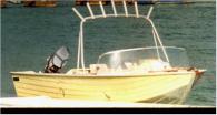 1987 Parkercraft - 14 foot alloy