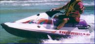 Montego Tigershark Daytona 1995