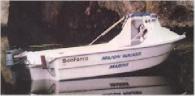 1991 Seaforce Utility 4.9m