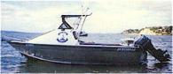 2000 Surtees Workmate 5.5 metre