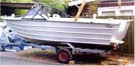 1998 Alicraft Gullwing - 15 foot